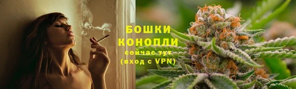 ГАЛЛЮЦИНОГЕННЫЕ ГРИБЫ Абинск