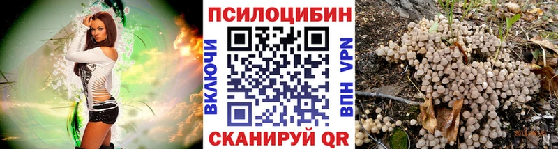 как найти наркотики  МЕГА вход  Псилоцибиновые грибы MAGIC MUSHROOMS  Благодарный 
